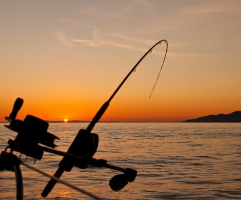 Big game fishing on the Adriatic Sea